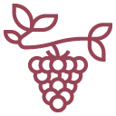 Fruit Garden